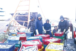 Phát triển ngành thủy sản hiện đại, bền vững