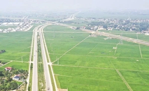 Quy hoạch vùng lúa chất lượng cao&nbsp;tạo nền tảng sản xuất quy mô lớn