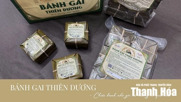 [REVIEW OCOP] Bánh gai Thiên Dương – Chiếc bánh nhỏ gói cả hương vị quê nhà