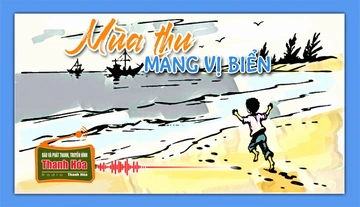 [Podcast Tản văn] Mùa thu mang vị biển
