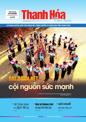 Số 243 - Thứ Sáu, ngày 14/11/2025