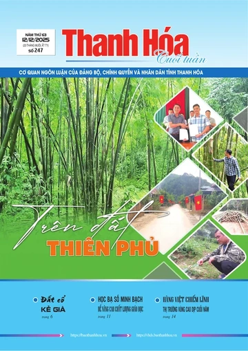 Số 247 - Thứ Sáu, ngày 12/12/2025