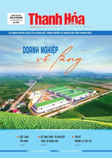 Số 261 - Thứ Sáu, ngày 20/03/2026