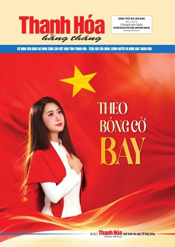 Số 241 - Thứ Năm, ngày 20/08/2026