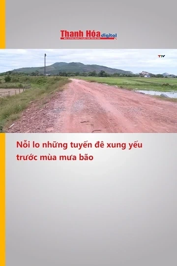 Nỗi lo những tuyến đê xung yếu trước mùa mưa bão