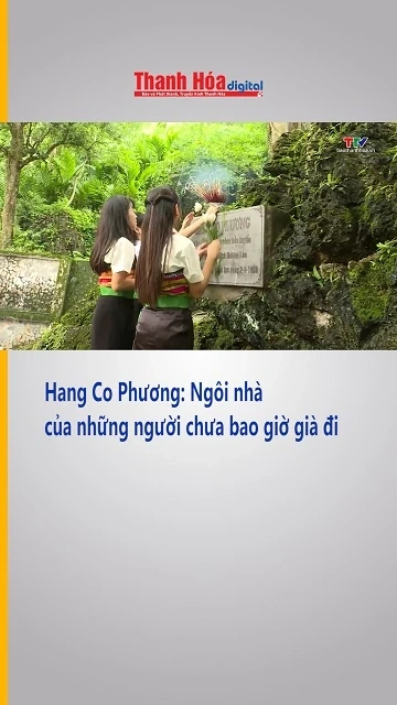 Hang Co Phương: Ngôi nhà của những người chưa bao giờ già đi