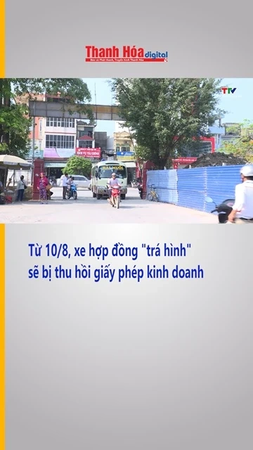 Từ 10/8, xe hợp đồng “trá hình” sẽ bị thu hồi giấy phép kinh doanh