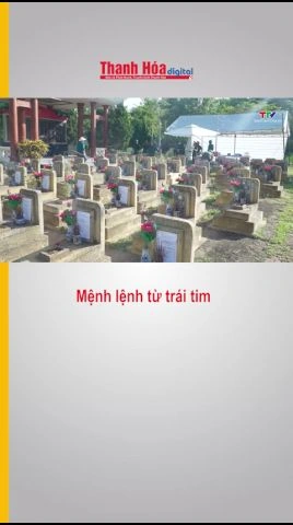 Mệnh lệnh từ trái tim