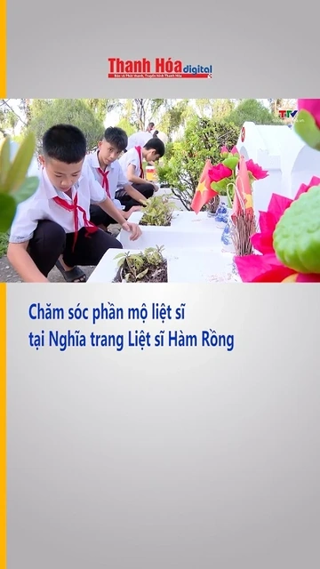 Chăm sóc phần mộ liệt sĩ tại Nghĩa trang Liệt sĩ Hàm Rồng