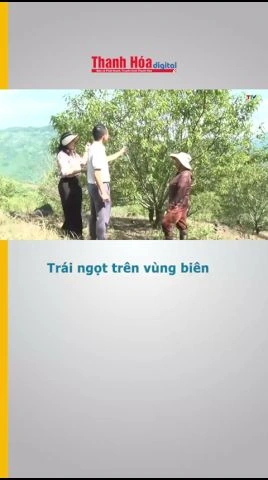 Trái ngọt trên vùng biên