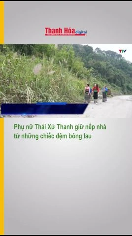 Phụ nữ Thái Xứ Thanh giữ nếp nhà từ những chiếc đệm bông lau