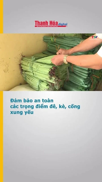 Đảm bảo an toàn các trọng điểm đê, kè, cống xung yếu