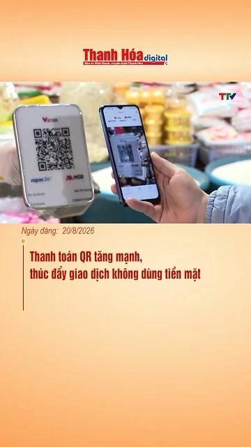 Thanh toán QR tăng mạnh, thúc đẩy giao dịch không dùng tiền mặt| Truyền hình Thanh Hóa