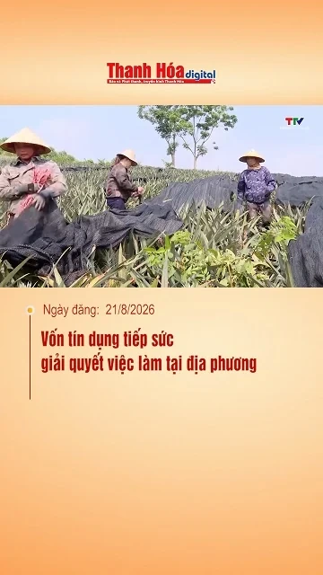Vốn tín dụng tiếp sức giải quyết việc làm tại địa phương