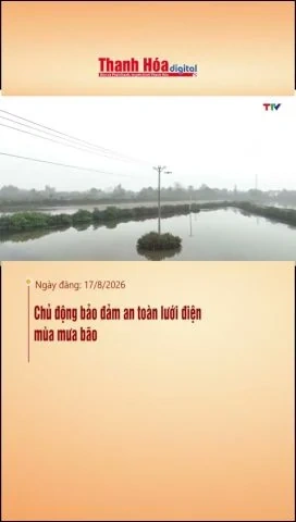 Chủ động bảo đảm an toàn lưới điện mùa mưa bão