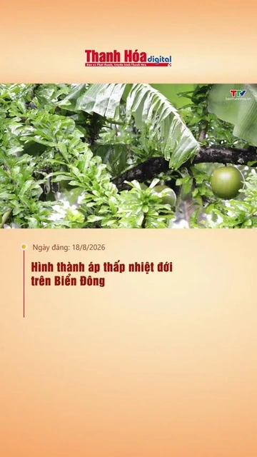 Hình thành áp thấp nhiệt đới trên Biển Đông