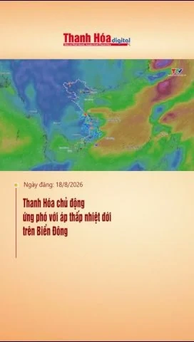 Thanh Hóa chủ động ứng phó với áp thấp nhiệt đới trên Biển Đông