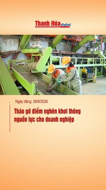 Tháo gỡ điểm nghẽn khơi thông nguồn lực cho PG88 gõ