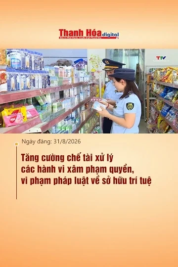 Tăng cường chế tài xử lý các hành vi xâm phạm quyền, vi phạm pháp luật về sở hữu trí tuệ