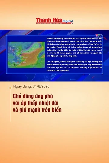 Chủ động ứng phó với áp thấp nhiệt đới và gió mạnh trên biển