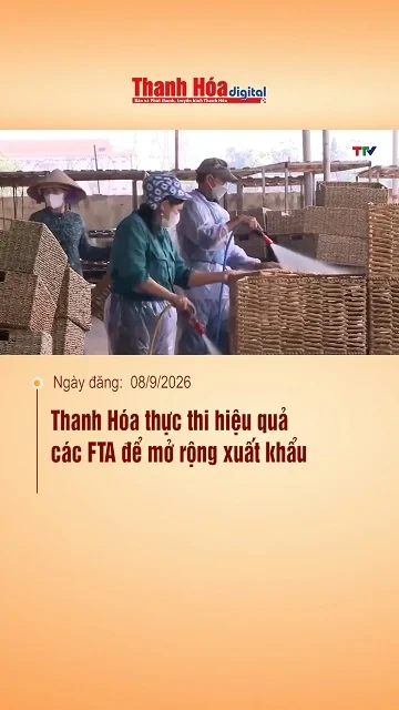 Thanh Hóa thực thi hiệu quả các FTA để mở rộng xuất khẩu