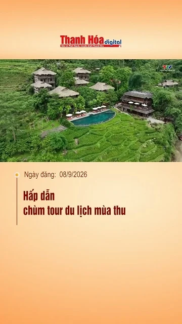 Hấp dẫn chùm tour du lịch mùa thu