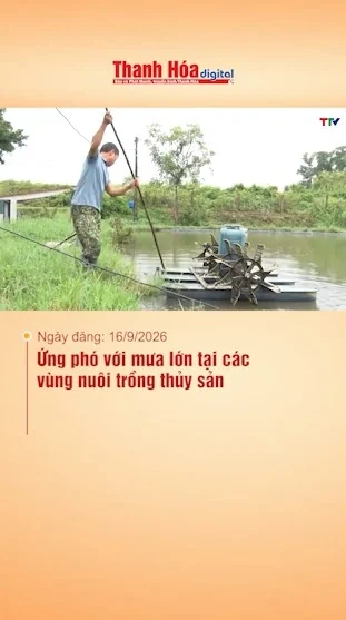 Ứng phó với mưa lớn tại các vùng nuôi trồng thủy sản