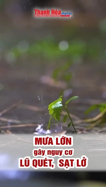 Mưa lớn gây nguy cơ lũ quét, sạt lở