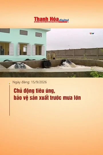 Chủ động tiêu úng, bảo vệ sản xuất trước mưa lớn