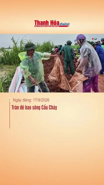 Tràn đê bao sông Cầu Chày