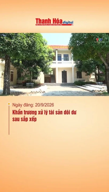 Khẩn trương xử lý tài sản dôi dư sau sắp xếp