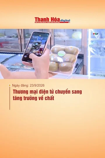 Thương mại điện tử chuyển sang tăng trưởng về chất