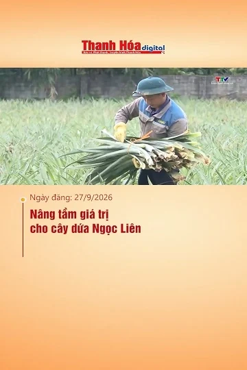 Nâng tầm giá trị cho cây dứa Ngọc Liên