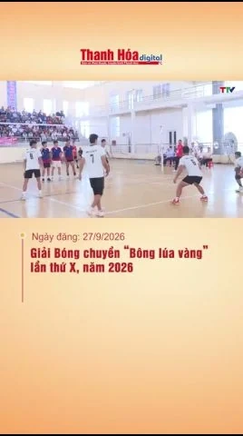 Giải Bóng chuyền “Bông lúa vàng” lần thứ X, năm 2026