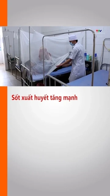 Sốt xuất huyết tăng mạnh