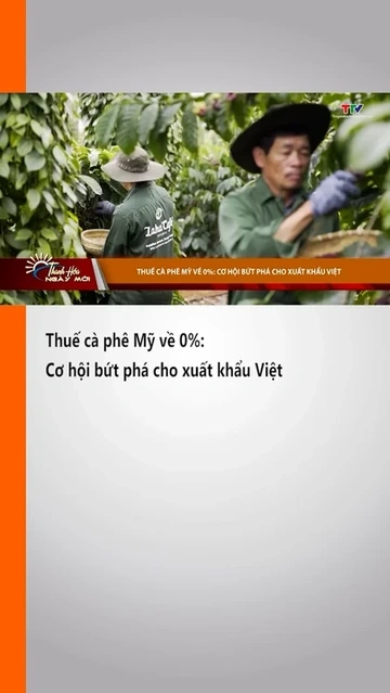 Thuế cà phê Mỹ về 0%: Cơ hội bứt phá cho xuất khẩu Việt