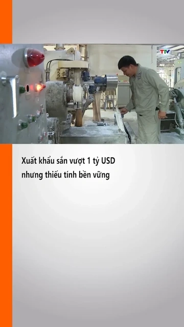 Xuất khẩu sắn vượt 1 tỷ USD nhưng thiếu tính bền vững