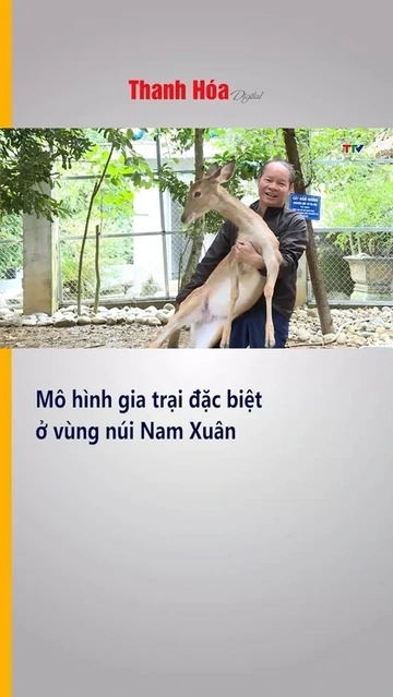 Mô hình gia trại đặc biệt ở vùng núi Nam Xuân
