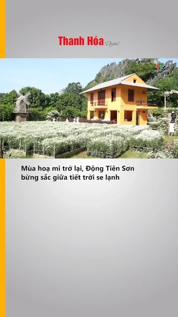 Mùa hoạ mi trở lại, Động Tiên Sơn bừng sắc giữa tiết trời se lạnh