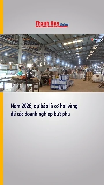 Năm 2026, dự báo là cơ hội vàng để các doanh nghiệp bứt phá