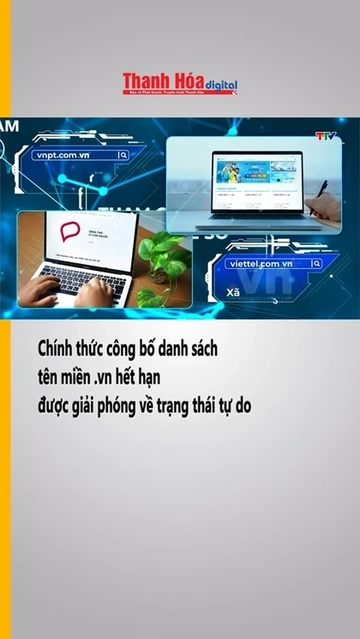 Chính thức công bố danh sách tên miền .vn hết hạn được giải phóng về trạng thái tự do