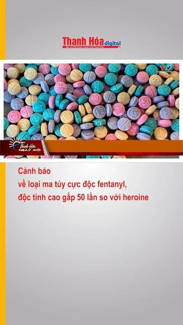 Cảnh báo về loại ma túy cực độc fentanyl, độc tính cao gấp 50 lần so với heroine