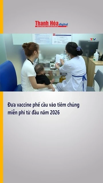 Đưa vaccine phế cầu vào tiêm chủng miễn phí từ đầu năm 2026
