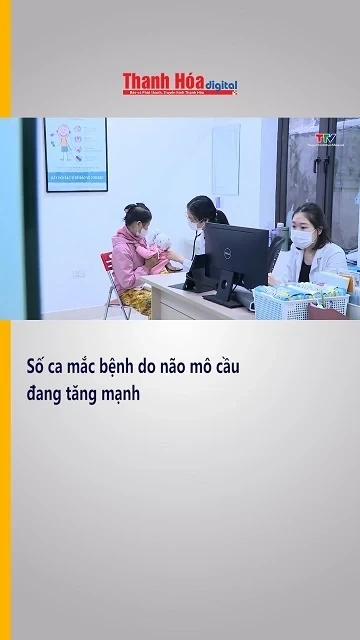 Số ca mắc bệnh do não mô cầu đang tăng mạnh