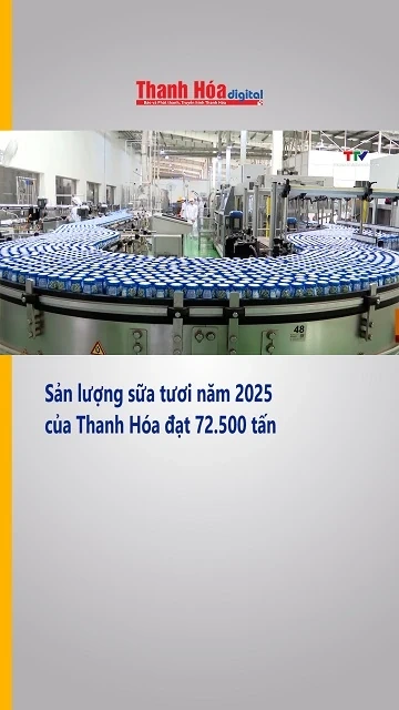 Sản lượng sữa tươi năm 2025 của Thanh Hóa đạt 72.500 tấn