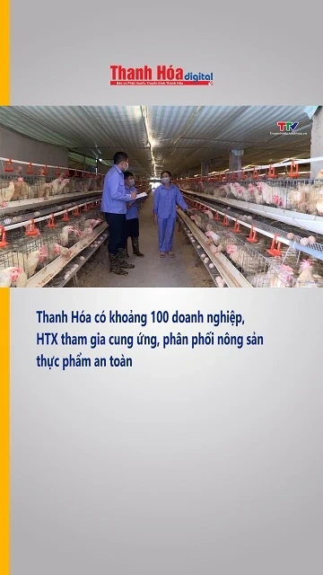 Thanh Hóa có khoảng 100 doanh nghiệp, HTX tham gia cung ứng, phân phối nông sản thực phẩm an toàn