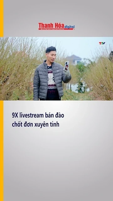9x livstream bán đào, chốt đơn xuyên tỉnh