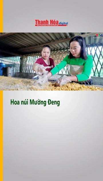 Hoa núi Mường Đeng
