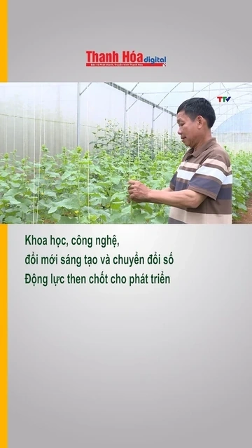 Khoa học, công nghệ, đổi mới sáng tạo và chuyển đổi số - Động lực then chốt cho phát triển