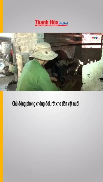Chủ động phòng chống đói, rét cho đàn vật nuôi